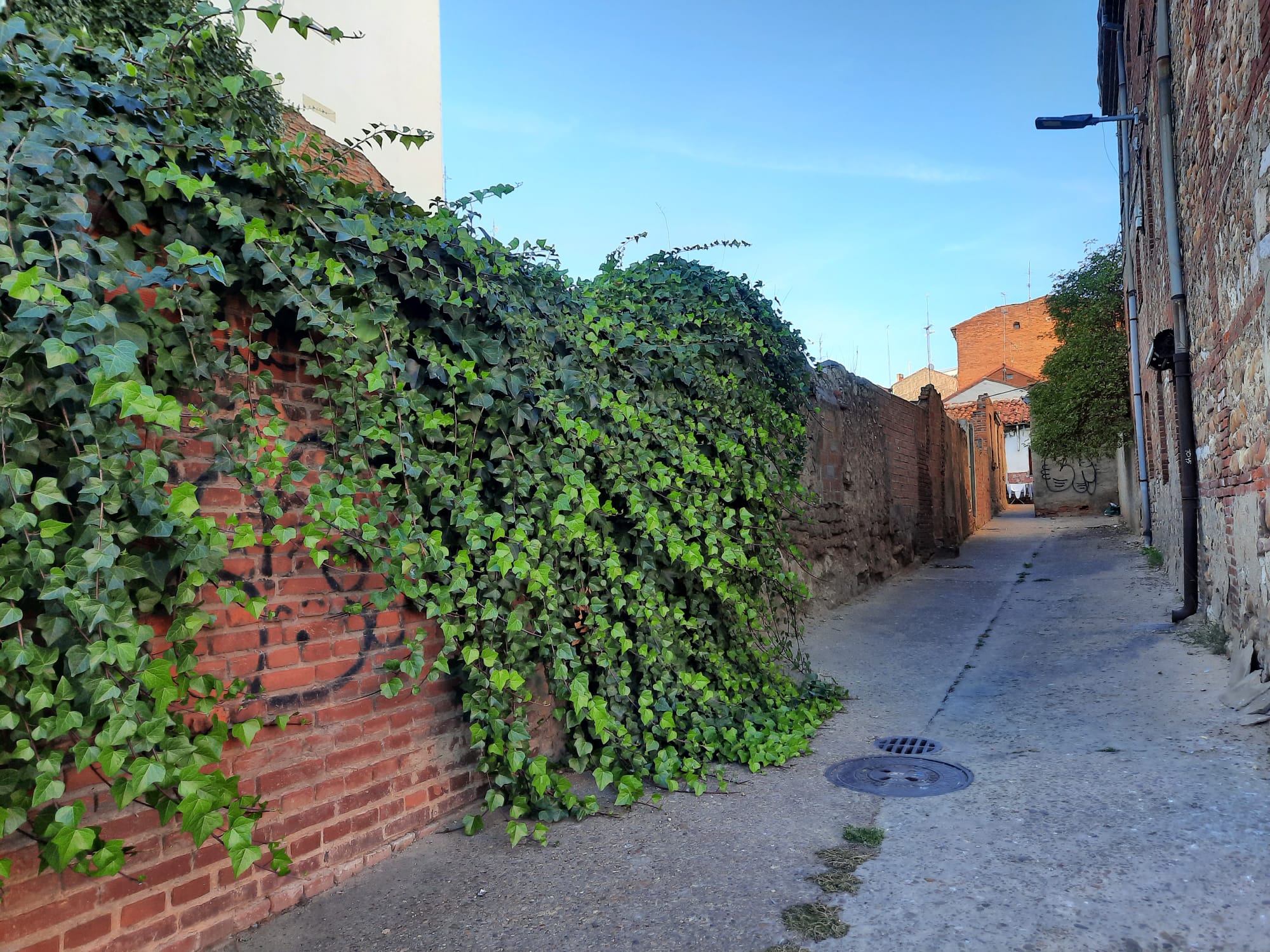 El PP pide al Ayuntamiento mejoras urbanísticas y de pavimento en Federico Echevarría y Tres Mitras  