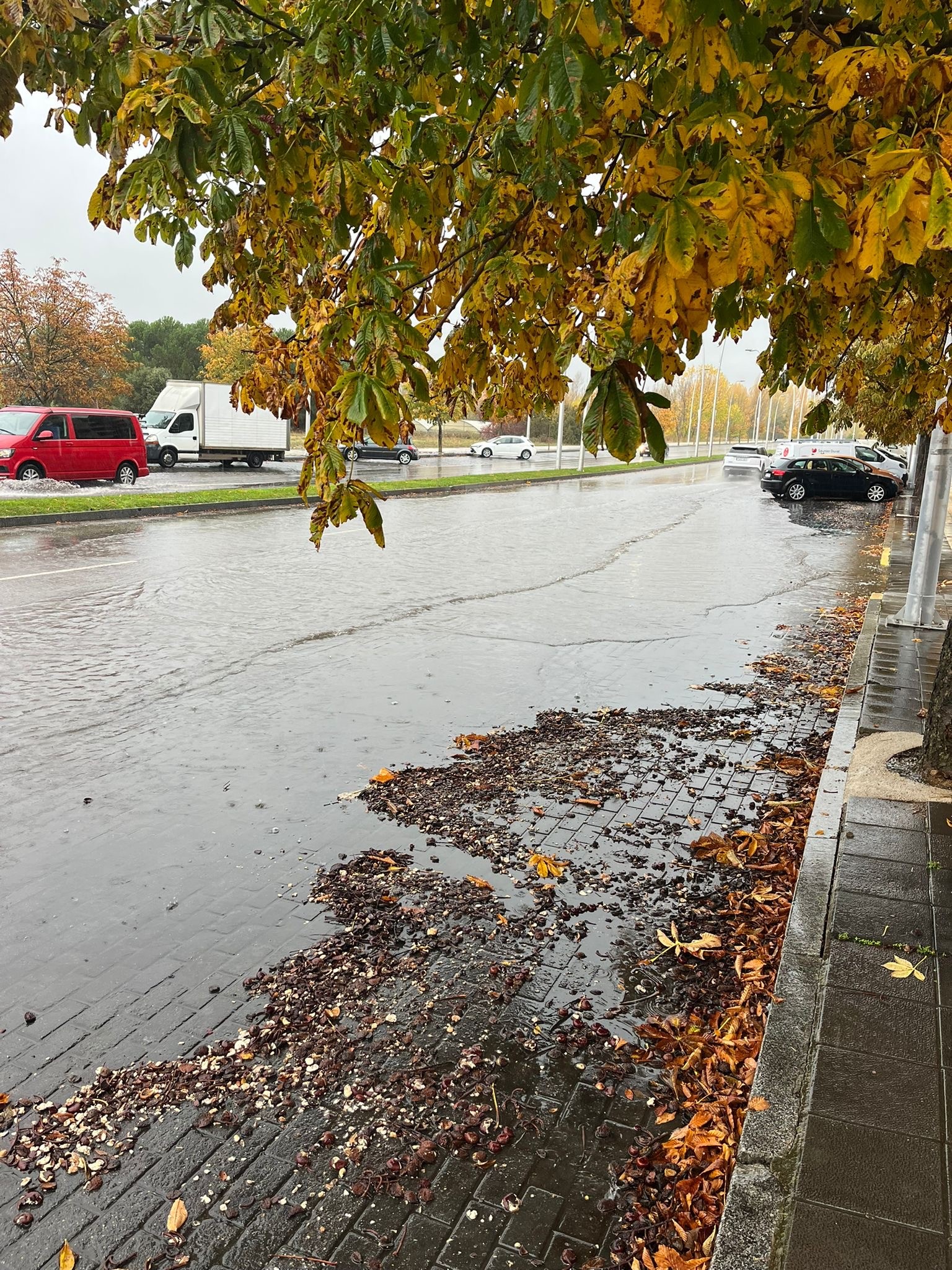 El PP municipal insta al equipo de gobierno a limpiar alcantarillas y restos de hojas ante las inundaciones de numerosas zonas de la ciudad