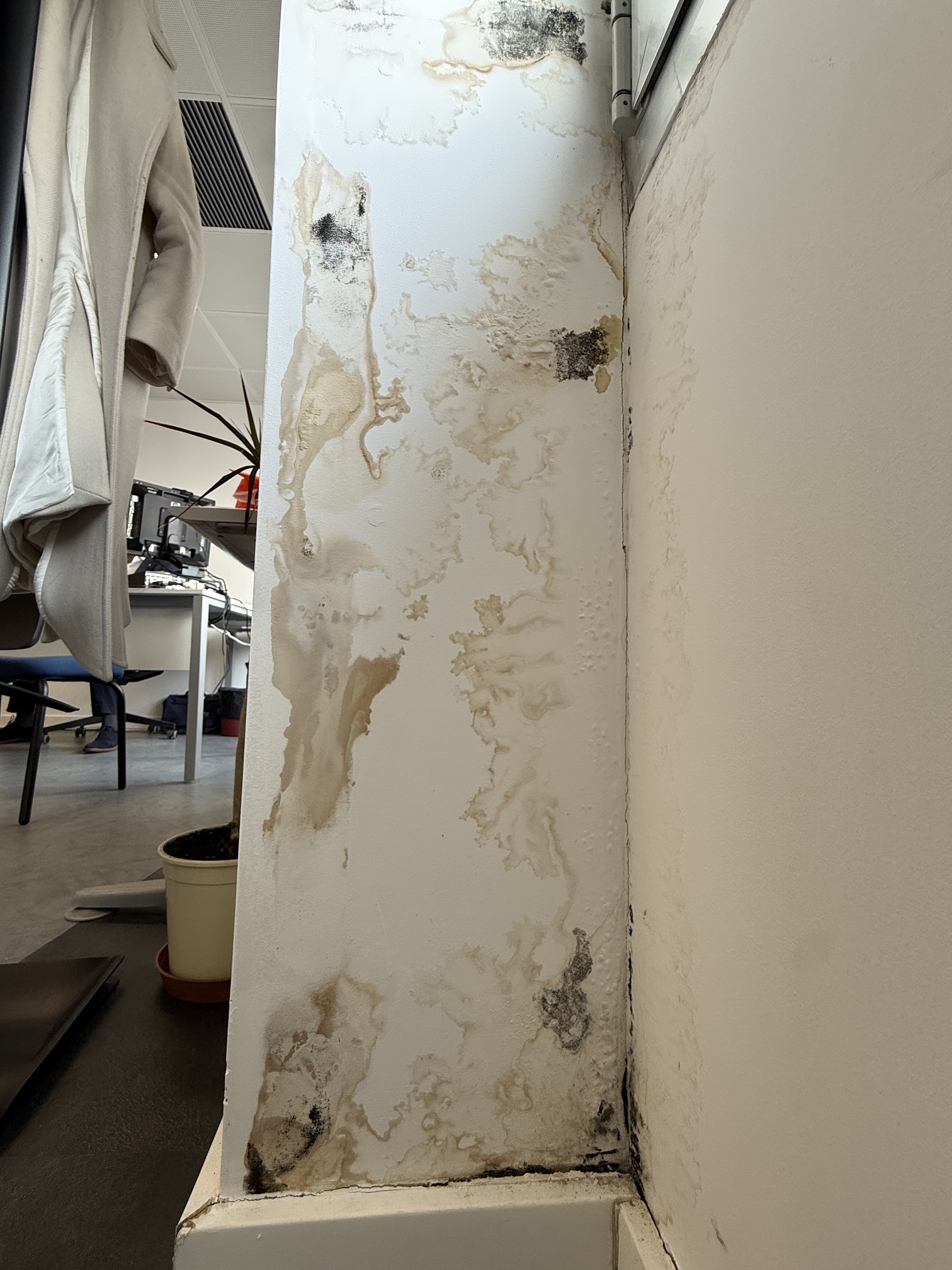 Las obras de Ordoño II fueron recibidas por el Ayuntamiento con decenas de deficiencias sin subsanar y un sobrecoste superior a 323.000€