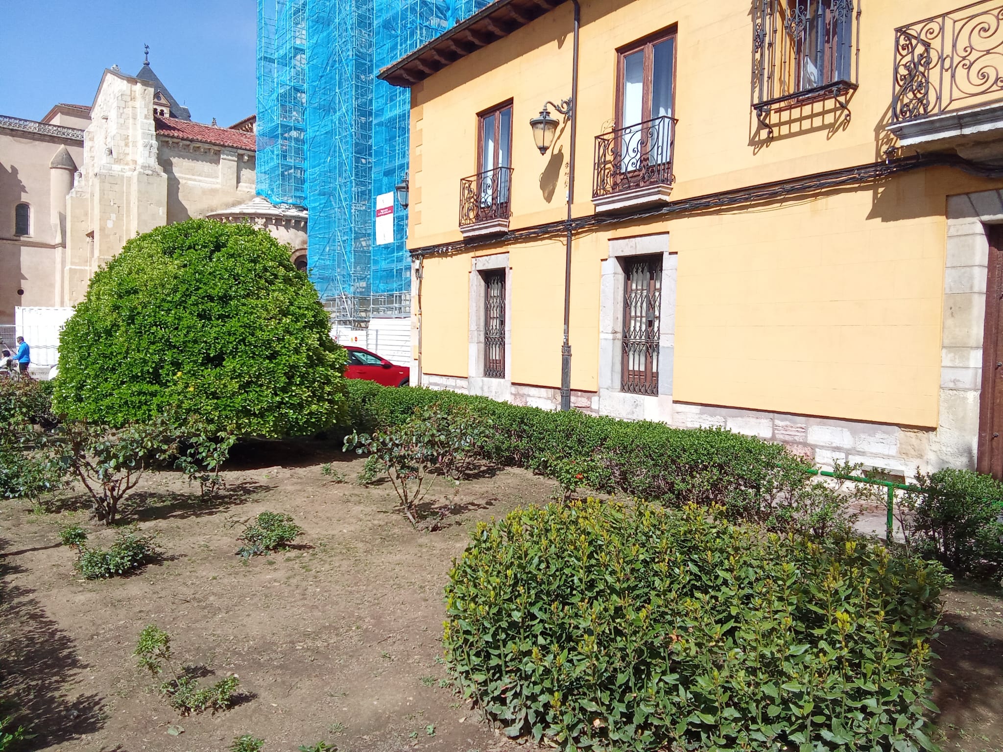 El Ayuntamiento tala el laurel ubicado junto a la columna trajana que la ciudad de Roma regaló a León en 1968 por el XIX centenario de la ciudad