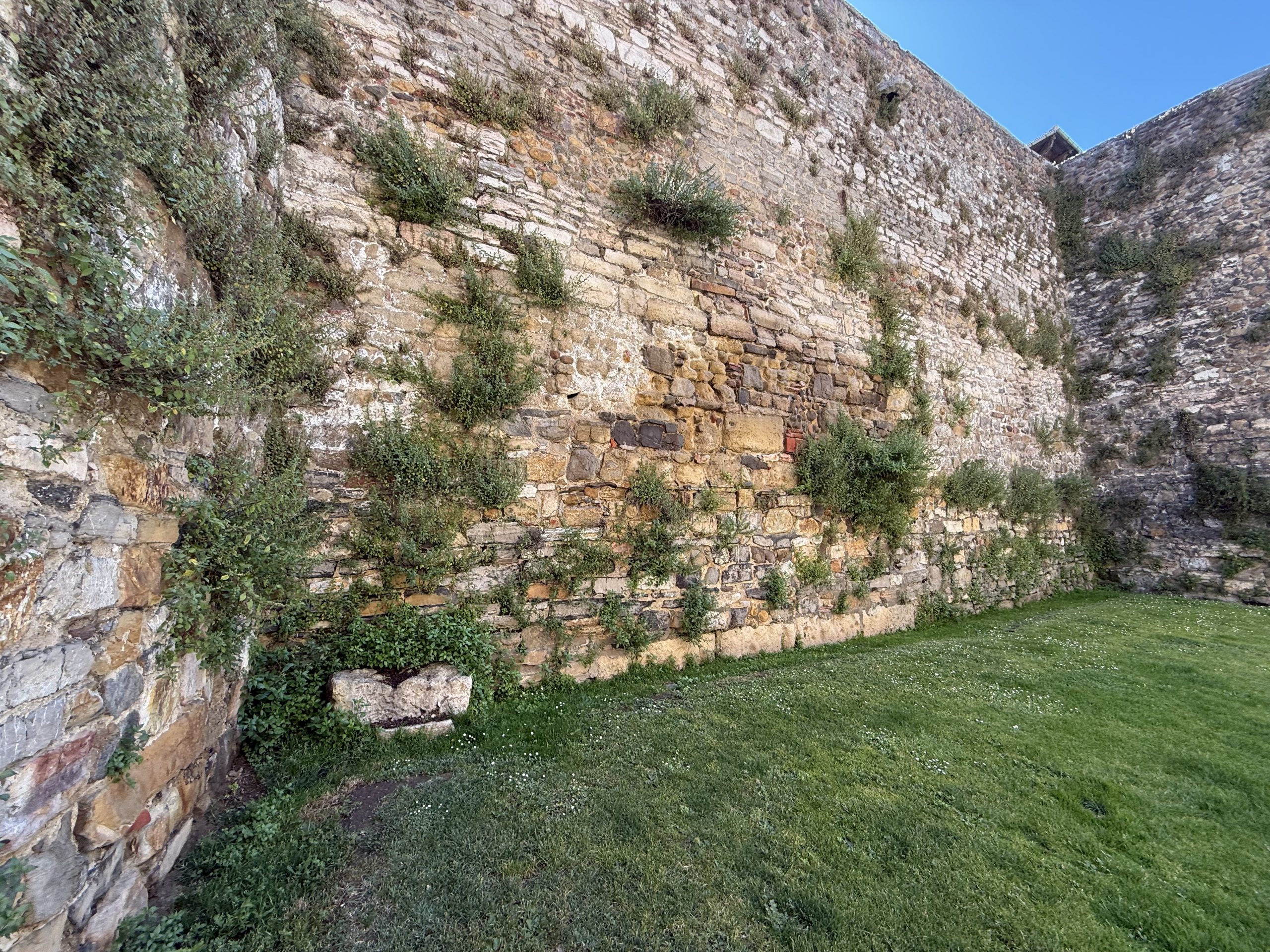 El PP denuncia la situación de abandono de la Muralla en Ramón y Cajal y exige al gobierno de Diez un plan de mantenimiento permanente