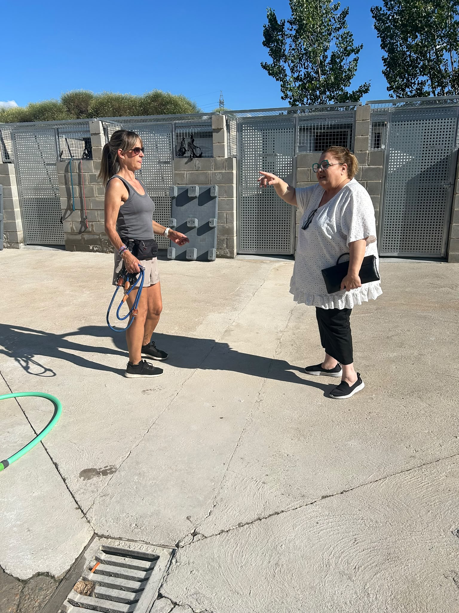 El Partido Popular denuncia el abandono municipal de la Protectora de Animales de León y exige el cumplimiento inmediato de la Ley de Bienestar Animal